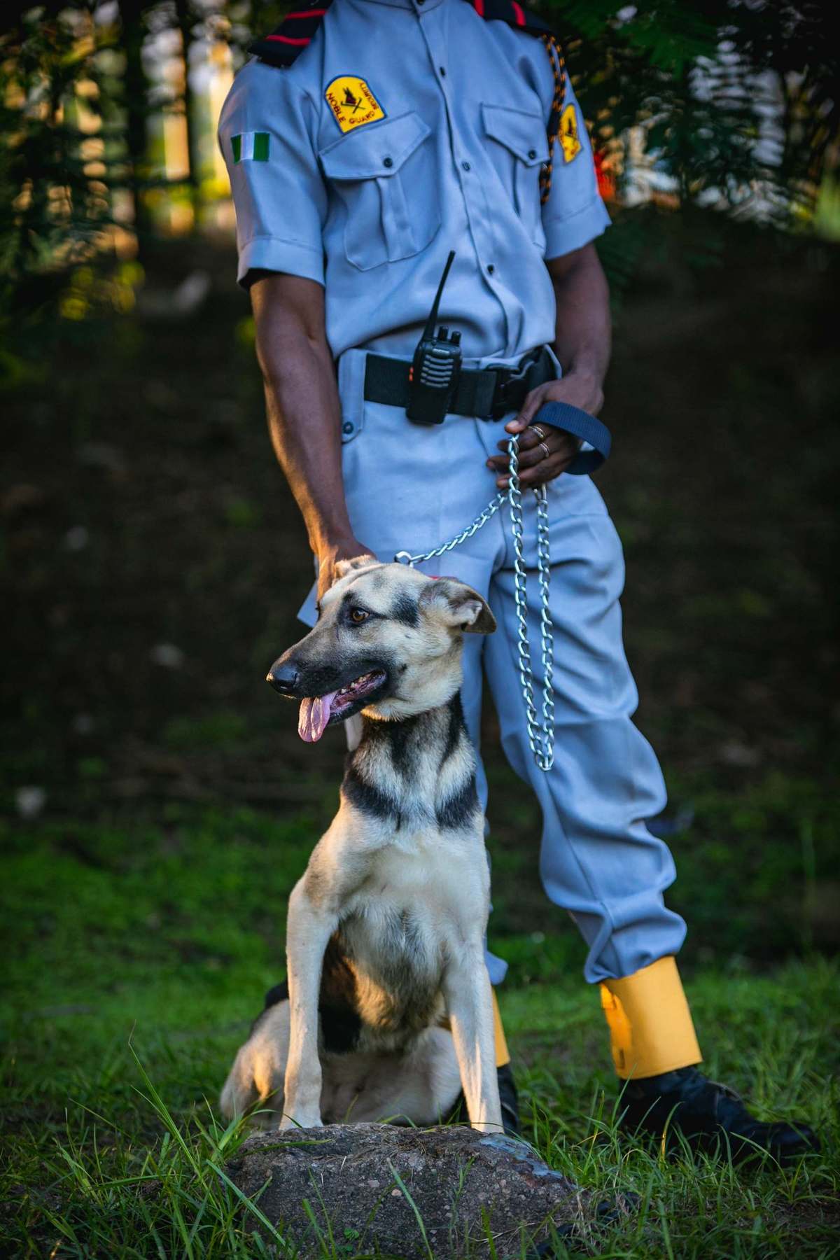 Uniformed security officer holding the lead of a German Shepherd patrol dog