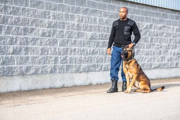 Uniformed security officer standing beside a seated patrol dog against a concrete block wall